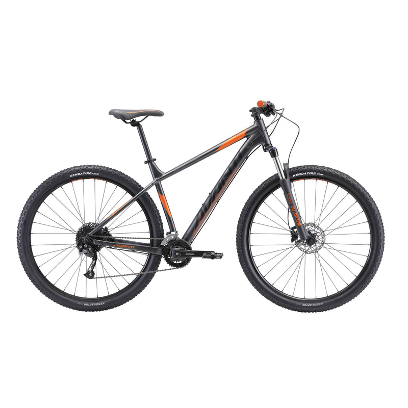 Avanti Montari 2